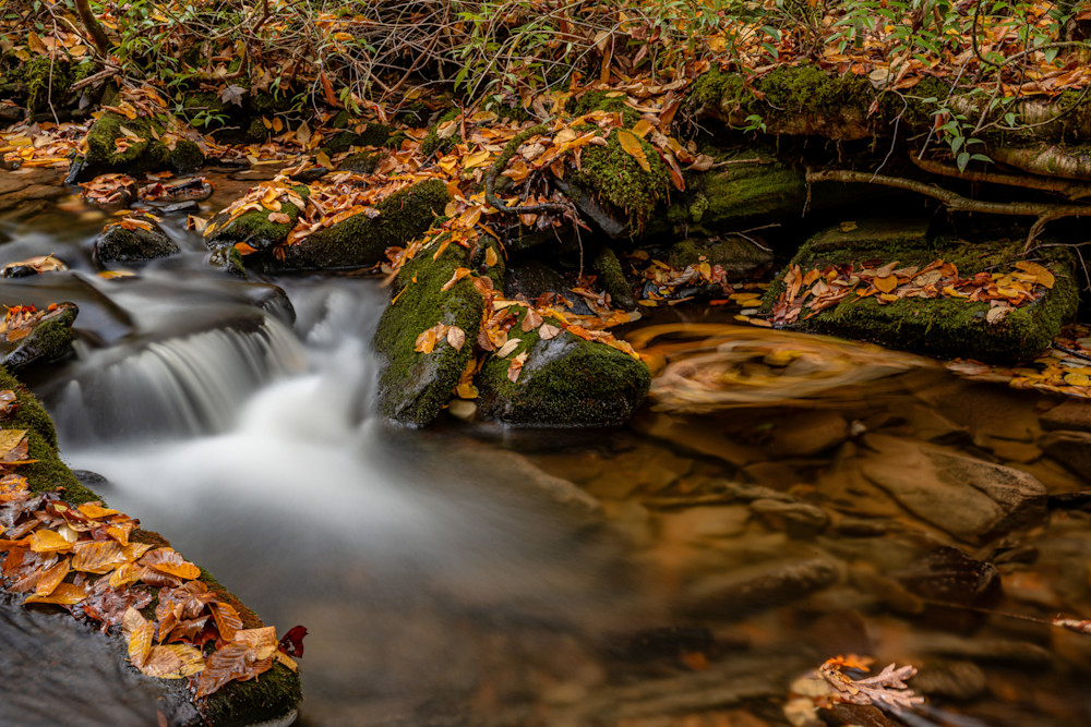 Fall Vortex Photography Art | kramkranphoto