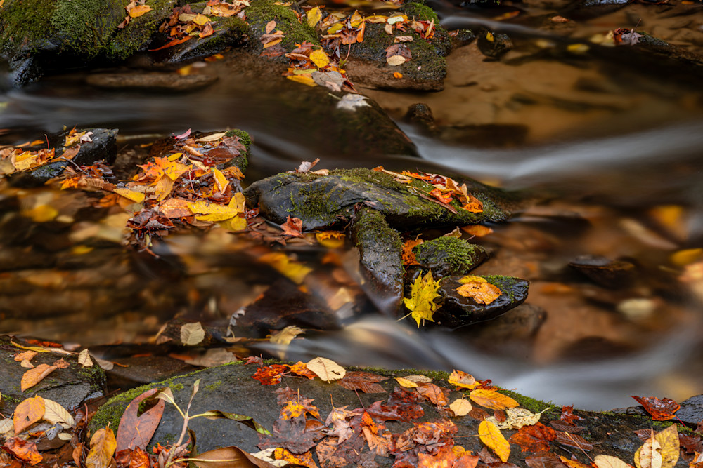 The Passing Of Autumn Photography Art | kramkranphoto