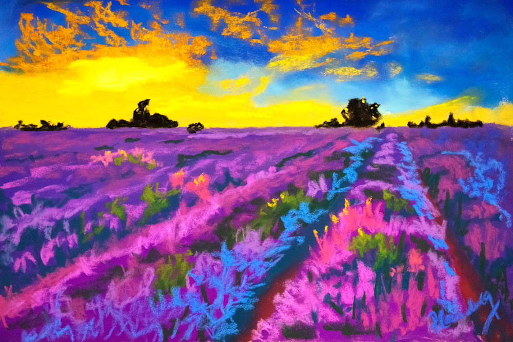 Toujours Provence | Prints & Gifts | Mary Planding