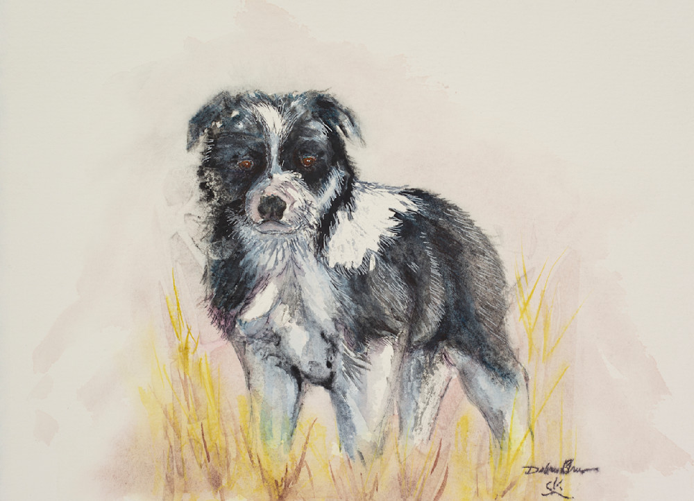 Next Generations  Art | Debra Bruner Studio