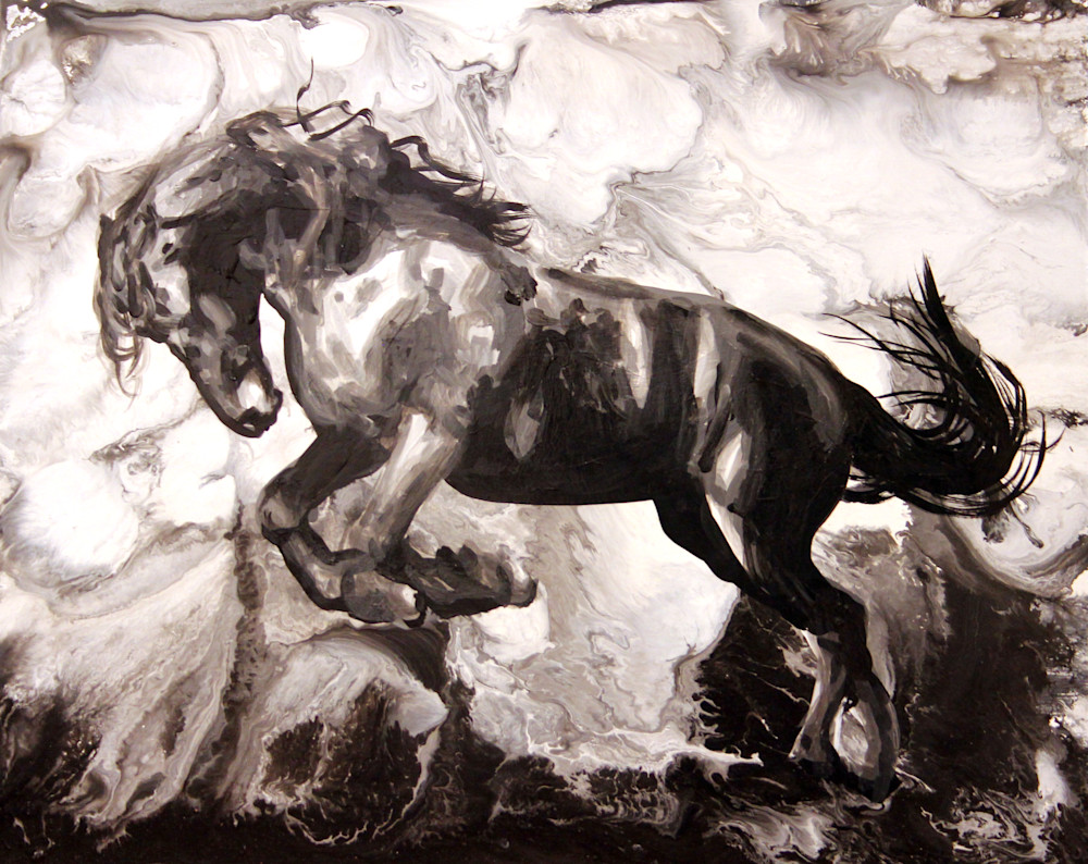 Img 0247 Art | Ocean Clark Art