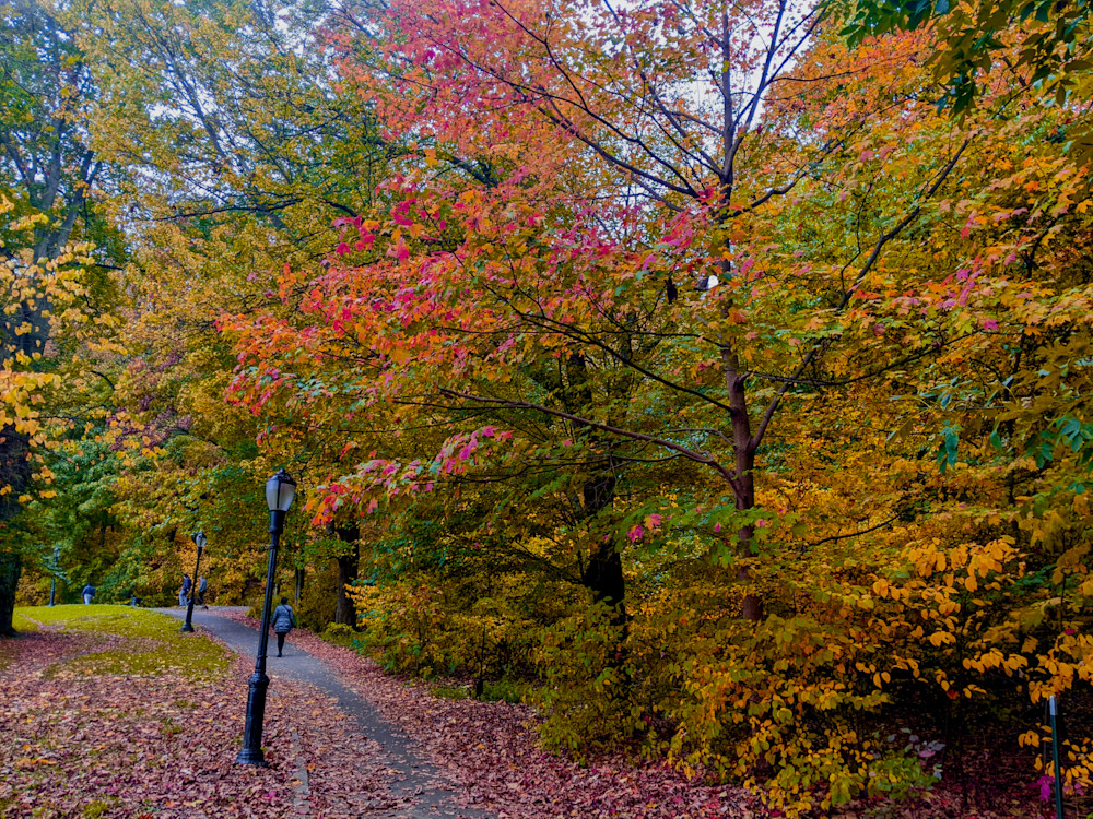 A Stroll Down Autumns Path Art | lencicio