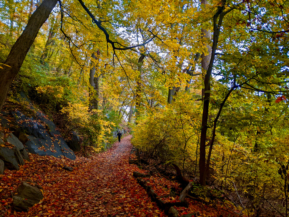 Pathway Into Autumn Inwood Hills Art | lencicio