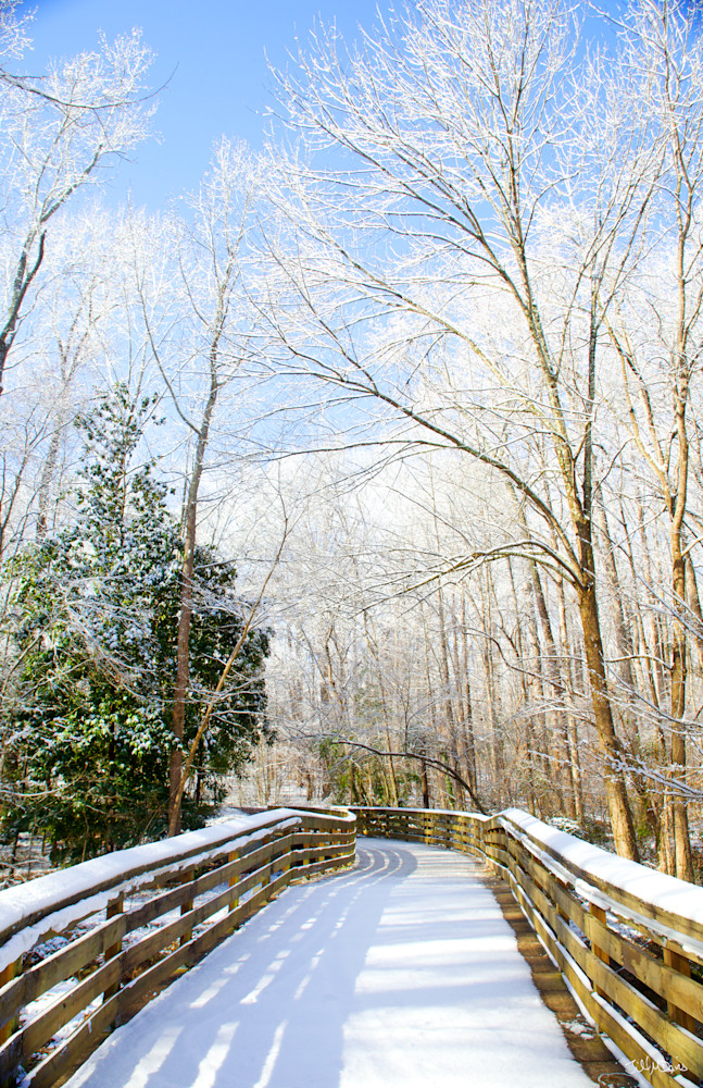 Winter art - Snowy trail photography