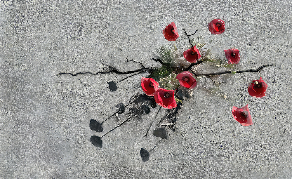 Red Poppies In The Pavement Art | Art from the Soul
