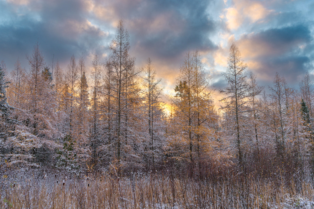 Autumn Sunrise at the Sax Zim Bog