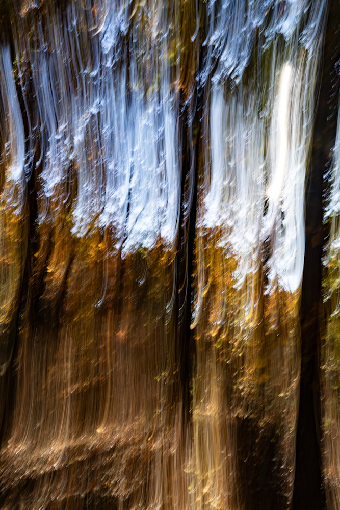Melting Forest 1 Photography Art | Playful Gallery by Rob Harrison