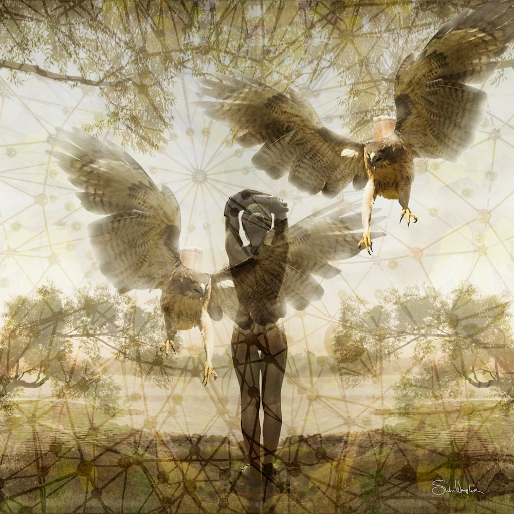 Alucinor Sq Art | Sondra Wampler | fine art