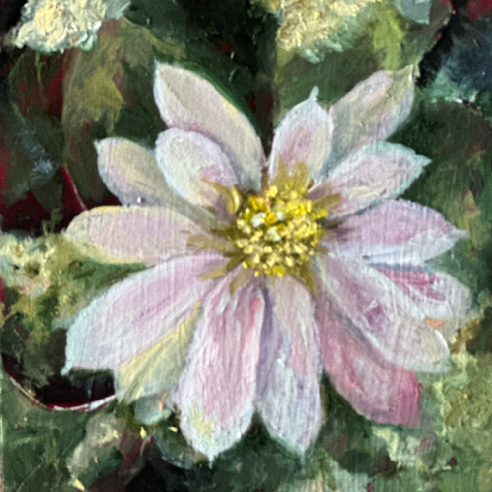 Dainty Flower - Close Up