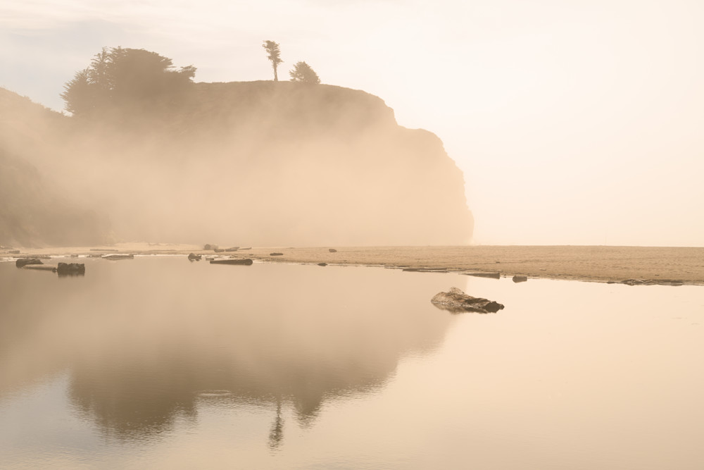 Pomponio No. 1 Photography Art | Aaron Miller Photography 