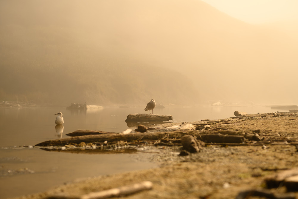 Pomponio No. 3 Photography Art | Aaron Miller Photography 