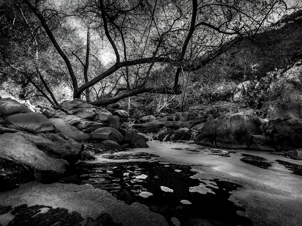 Haunted Stream Photography Art | Bren O'Malley Photography