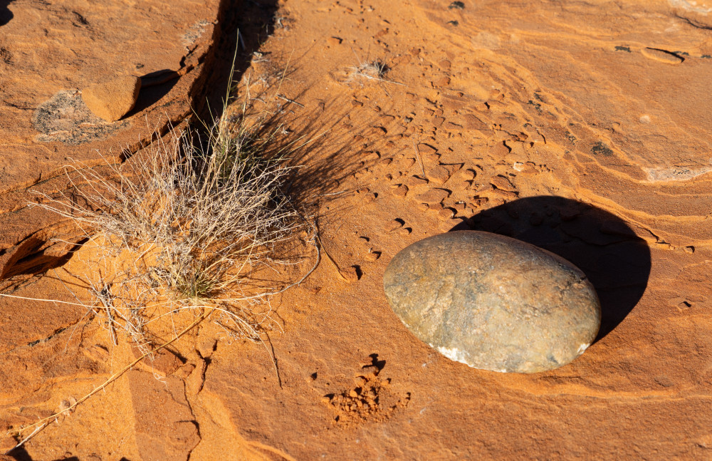 Desert Still Life Photography Art | John W. Daily Images