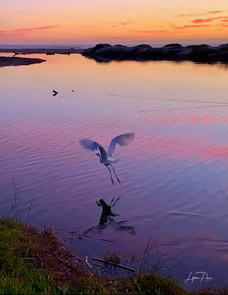 Sunset Heron  Art | Lynn Pass Art