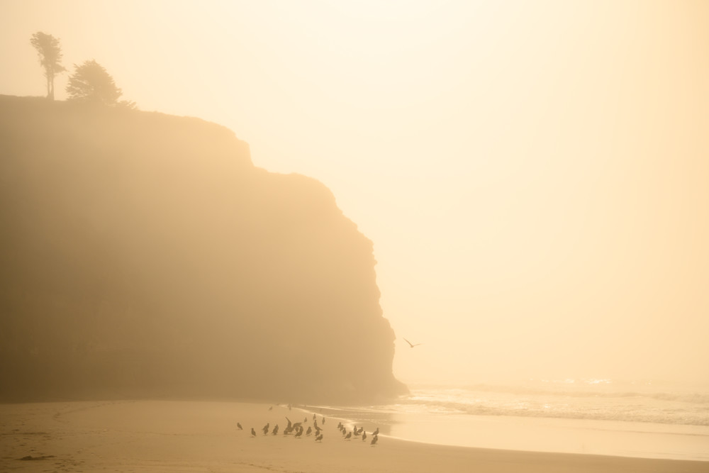 Pomponio No 4 Photography Art | Aaron Miller Photography 