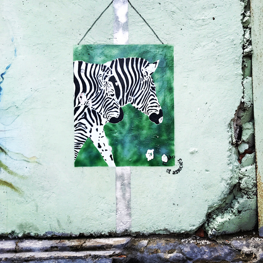 Cuba Zebra Art | Leslie Joy Ickowitz