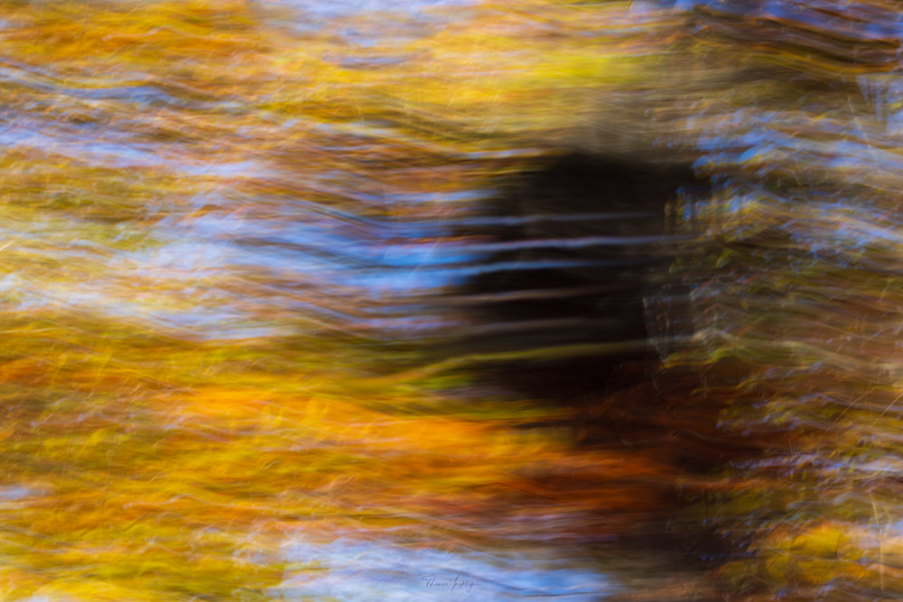 Music Of Autumn Photography Art | Thomas Yackley Fine Art Photography
