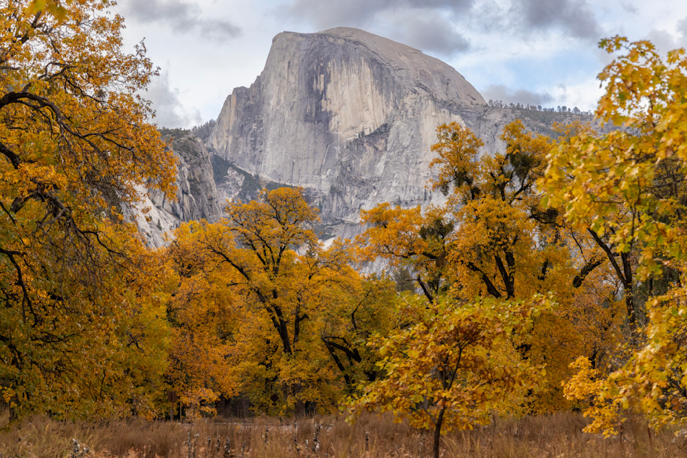 Yosemite - Half Dome with Fall Color Frame