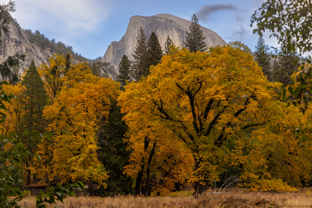 Yosemite - Half Dome with Fall Colors