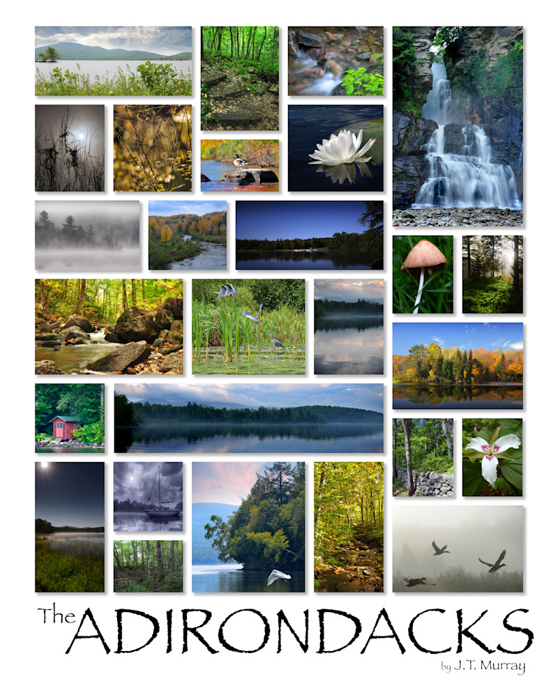 Adirondack Sampler Art | tommurray