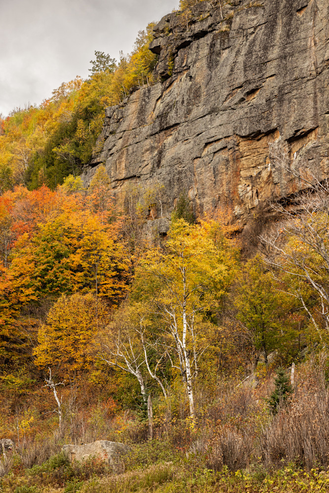 Rockin' Hillside Art | Leiken Photography