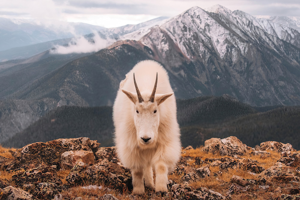 Life In The Alpine   Silverthorne, Colorado  Photography Art | matthewryanphoto