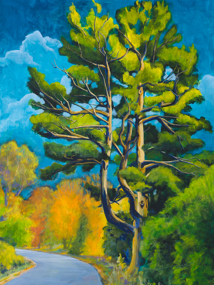 Beautiful artwork depicting a gorgeous tree, acrylic painting, white pine, Russell, iconic.