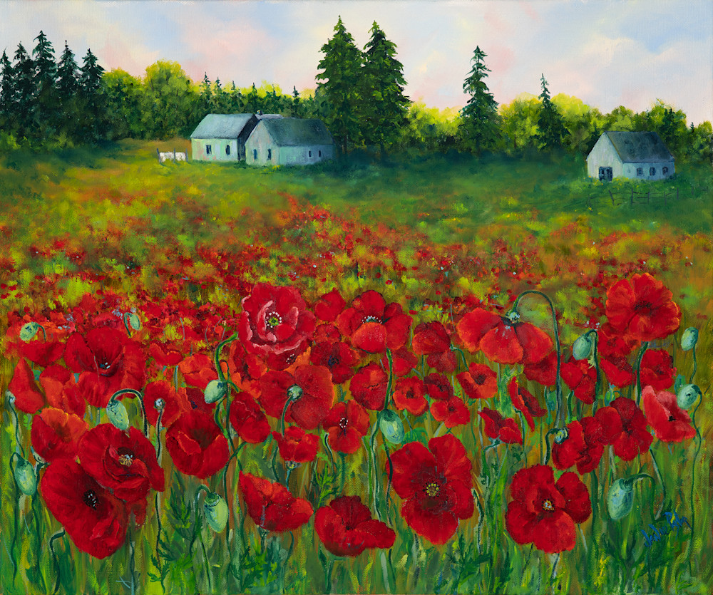 Poppies And More Poppies Art | Janice Pastor Fine Art