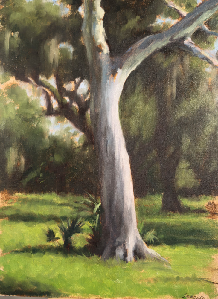 Tree Study Myakka Art | Kenneth Spirduso Artist