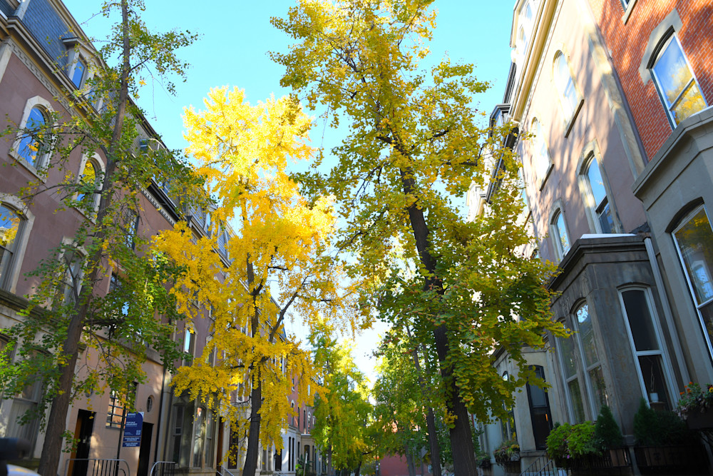 Brilliance Of Color Photography Art | Jack McIntyre Photo