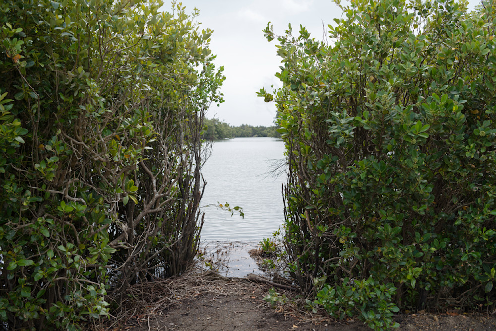 The Entrance