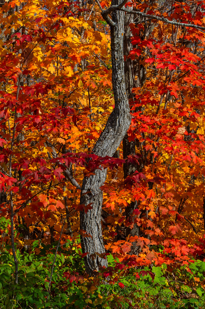  Dsc1306 Finished Photography Art | Majestic Mountain Photos