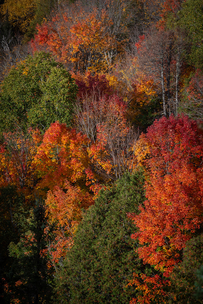  Dsc1214 Finished Photography Art | Majestic Mountain Photos
