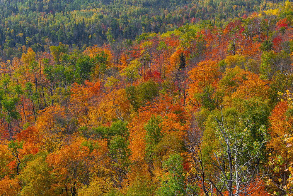  Dsc1318 Finished Photography Art | Majestic Mountain Photos