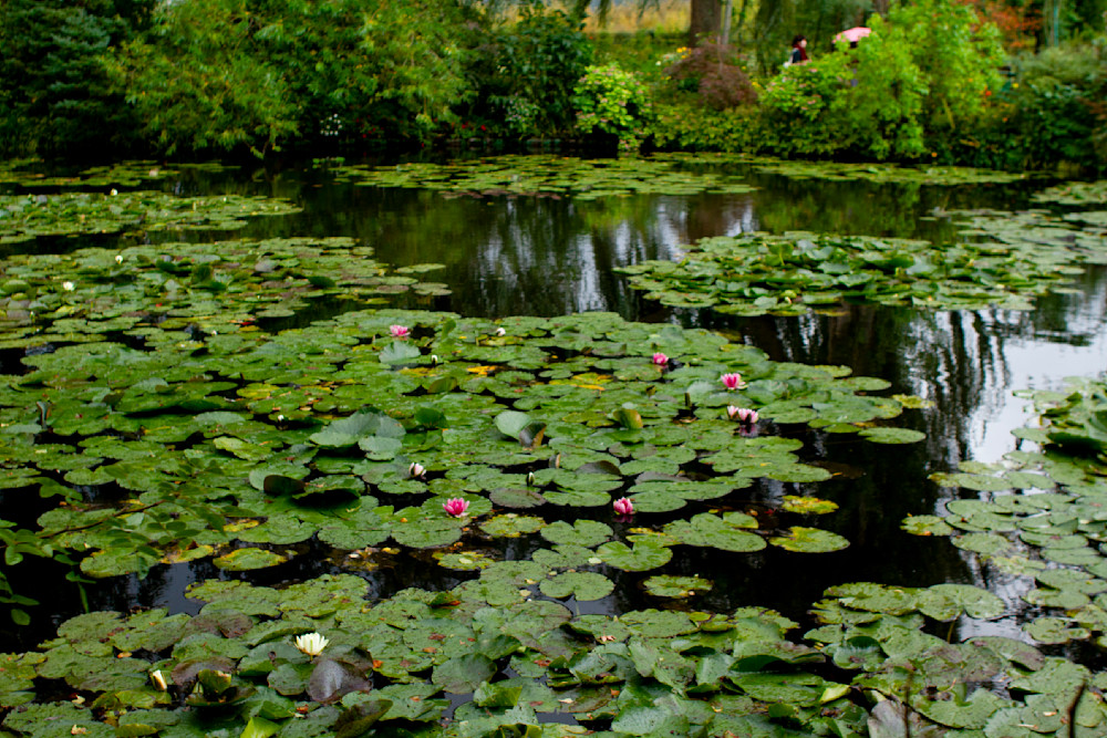 "Monet's Water Lilies"   Home Of Claude Monet (Giverny, France) Photography Art | Jim Storm Photography