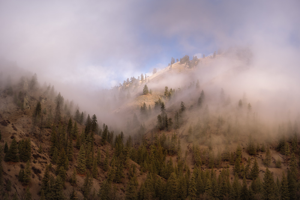 Mountain Fog, North Fork, Idaho Photography Art | Ron Ouellette Photography