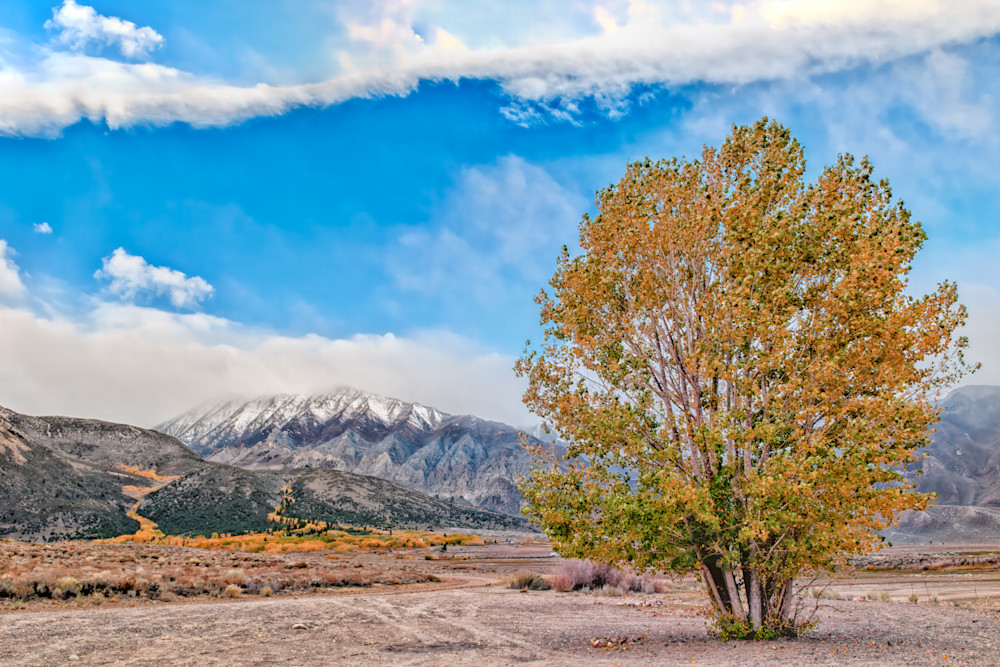Autumn's Embrace In The Eastern Sierra Photography Art | Anand's Photography