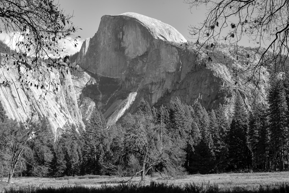 Sentinel Of Yosemite Photography Art | Anand's Photography