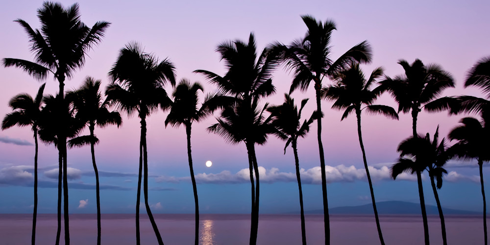 Maui Sublime Photography Art | Window To Paradise