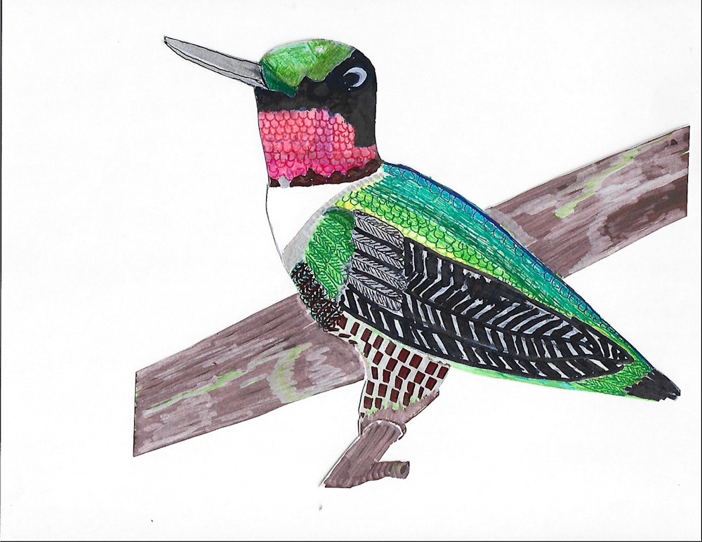 Humingbird Art | Jean-Marie Salem