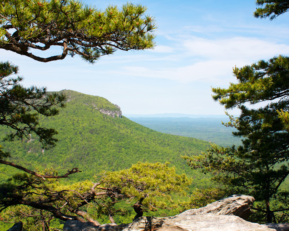 Mountain Art - Hanging Rock State Park Spring View Photograph