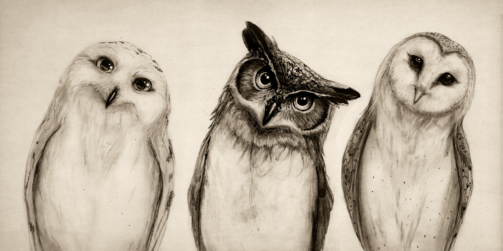 The Owls Three   Wide Art | IsaiahDraws