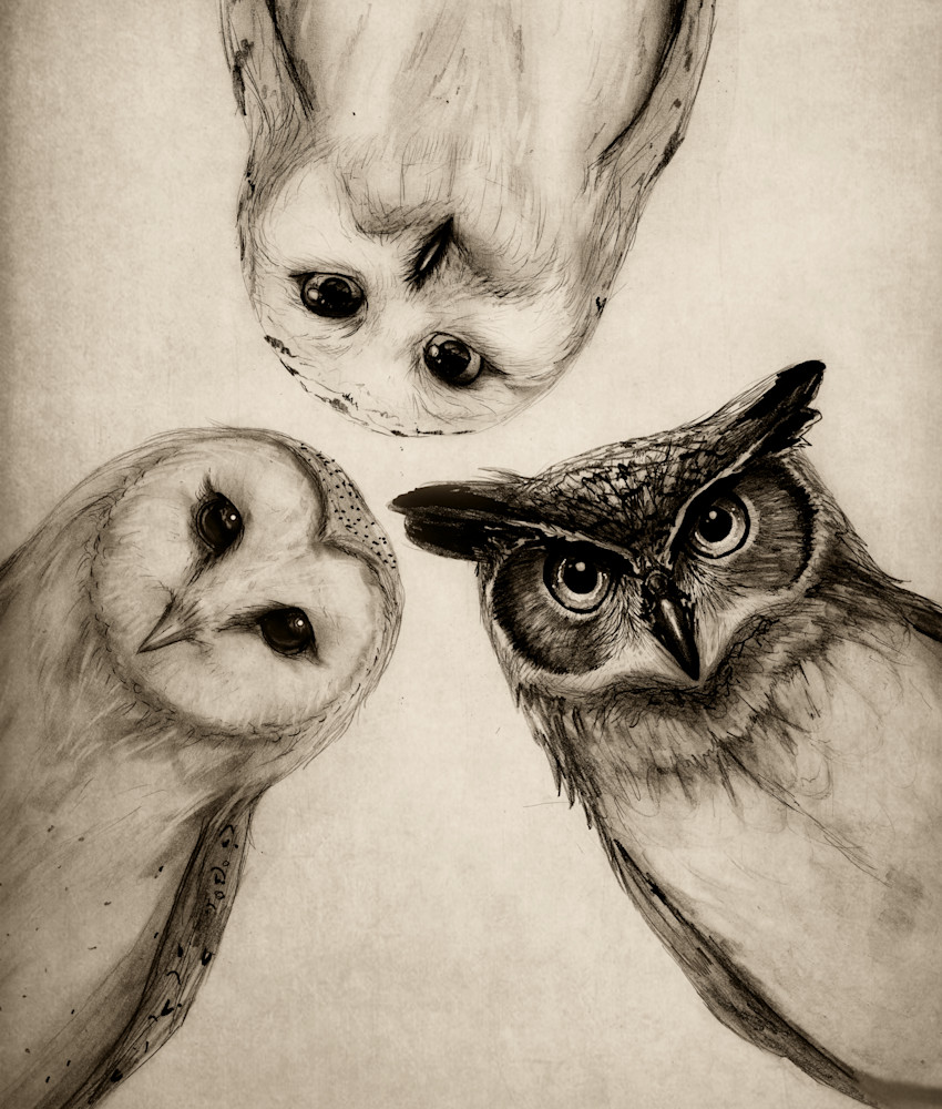 The Owls Three Square Art | IsaiahDraws