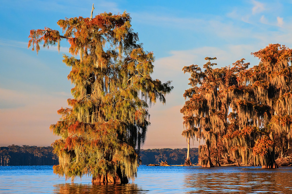 Autumn on Lake Verret — Louisiana swamp fine-art photography prints