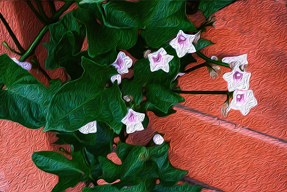 Yam Vine Over The Wall Art | Art from the Soul