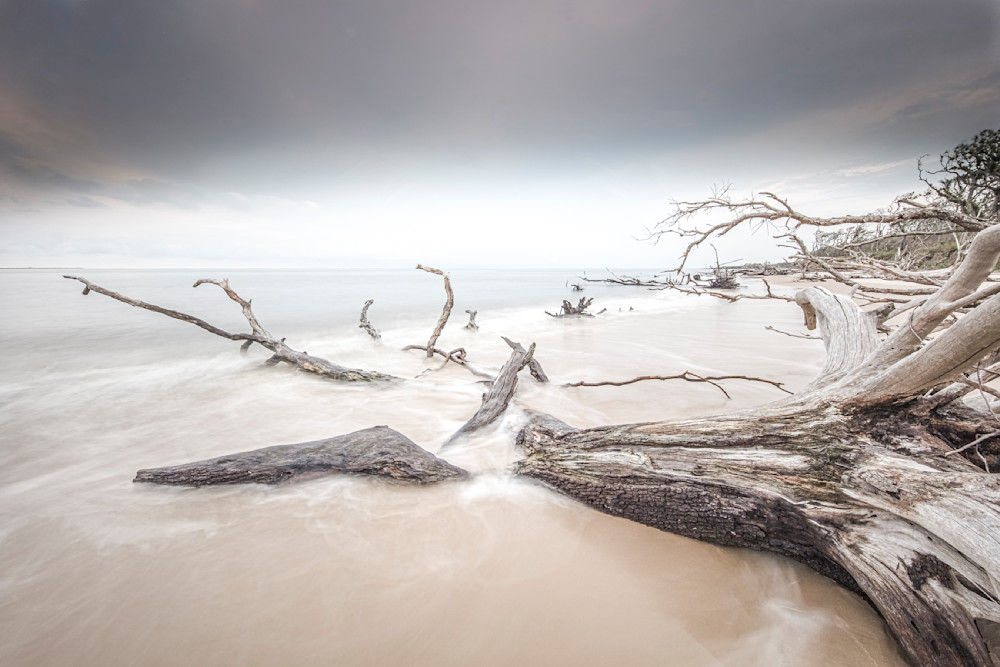 Big Talbot Island State Park​ | Jacksonville | Florida | FL