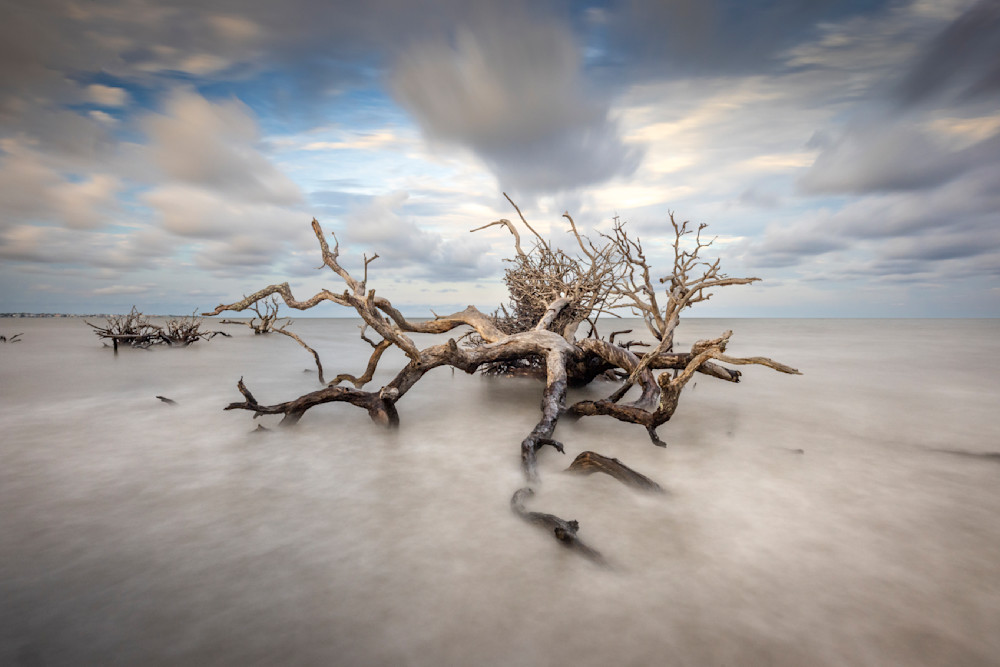 Jekyll Island Photos | Images | Georgia | GA | Pics