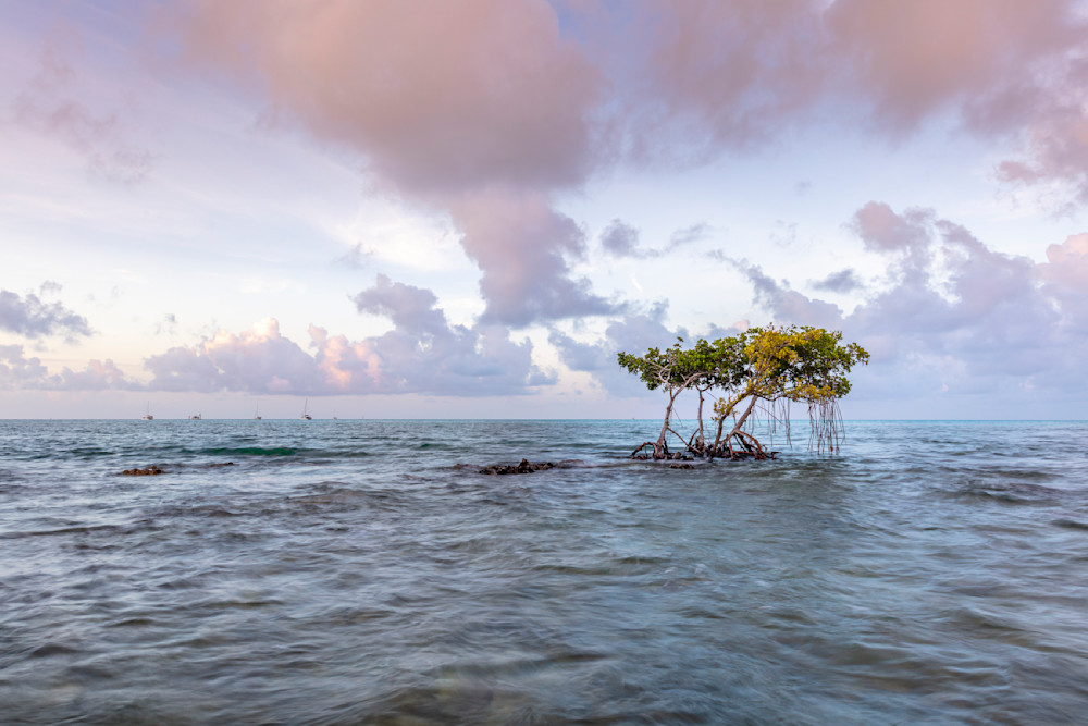 Florida Keys Pictures | Photos | Images | FL