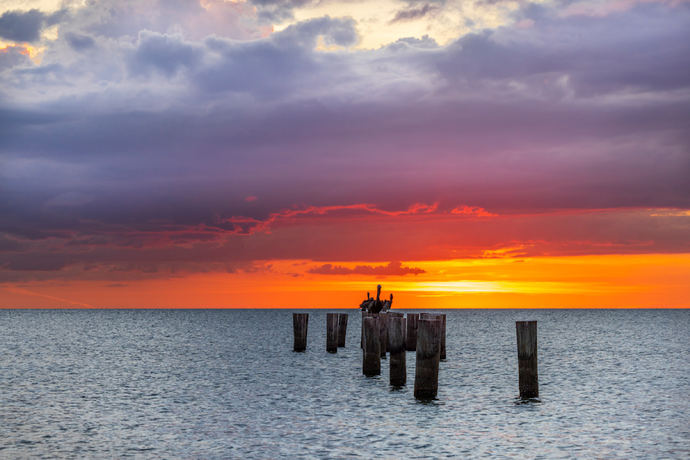 Florida | Pics | Wall Art | Images | Photos |Wallpapers| Pictures