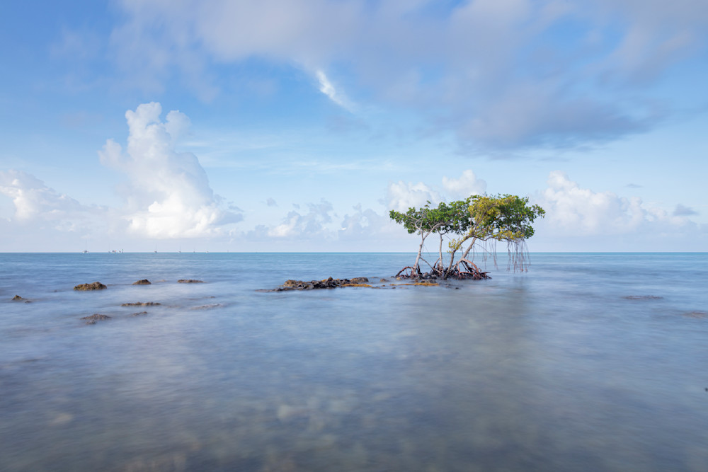 Florida Keys 12 Photography Art | Dennis Goodman Photography